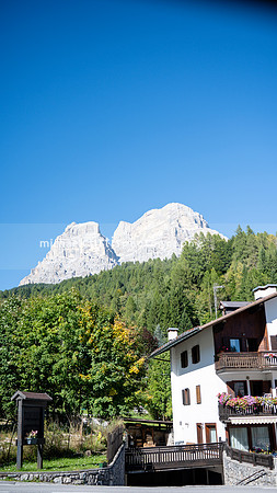 20250919-DZ6_0131-6