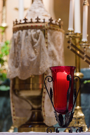 20190419-_DSC8727