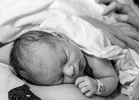 20260209-DZ6_4160-2