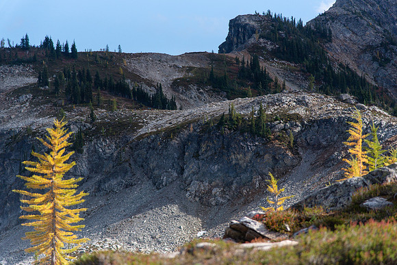 20200920-_DSC8073
