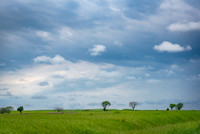 20240520-_DSC4371