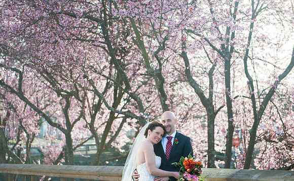 Elly - Chad - wedding - Michael Curtis Photography