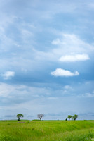 20240520-_DSC4372