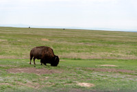 20240520-_DSC4346