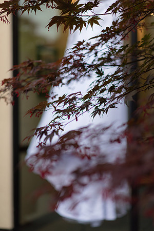20190525-DSC_1897