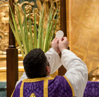 NAM - 2018 Palm Sunday